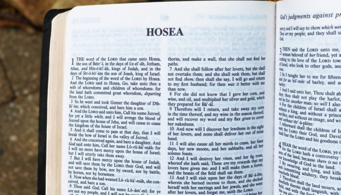 Hosea Deep Diving Bible Study