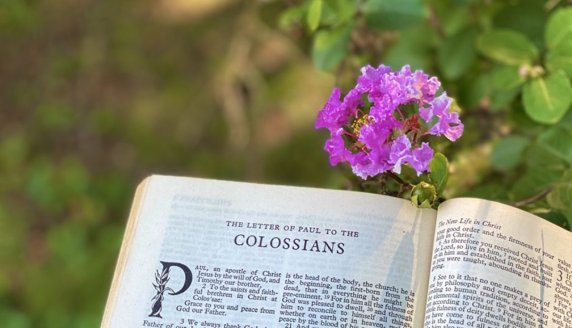 Colossians Deep Diving Bible Study